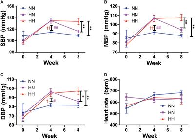 Restoring Blood Pressure in Hypertensive Mice Fails to Fully Reverse Vascular Stiffness